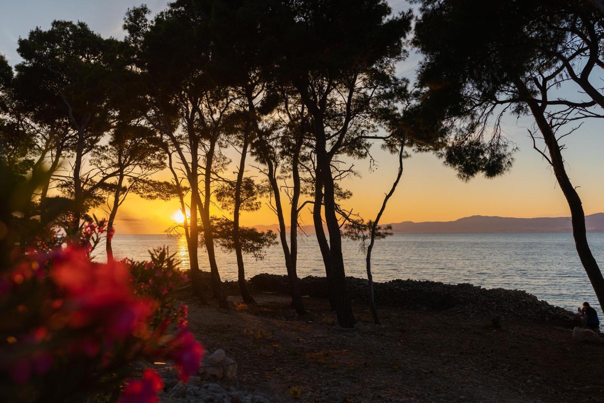 Boutique Camping Bunja Supetar Eksteriør billede
